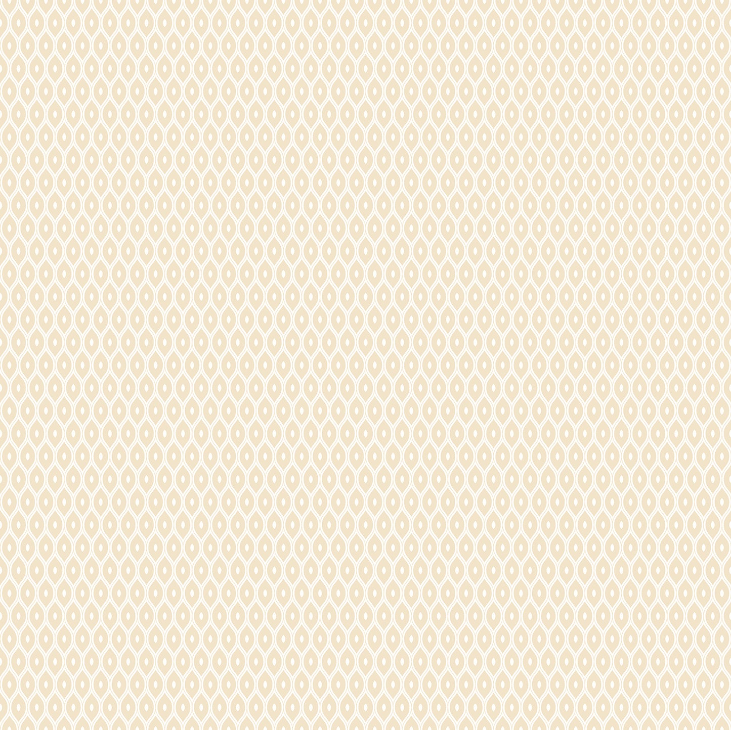 TINY OGEE - Parchment