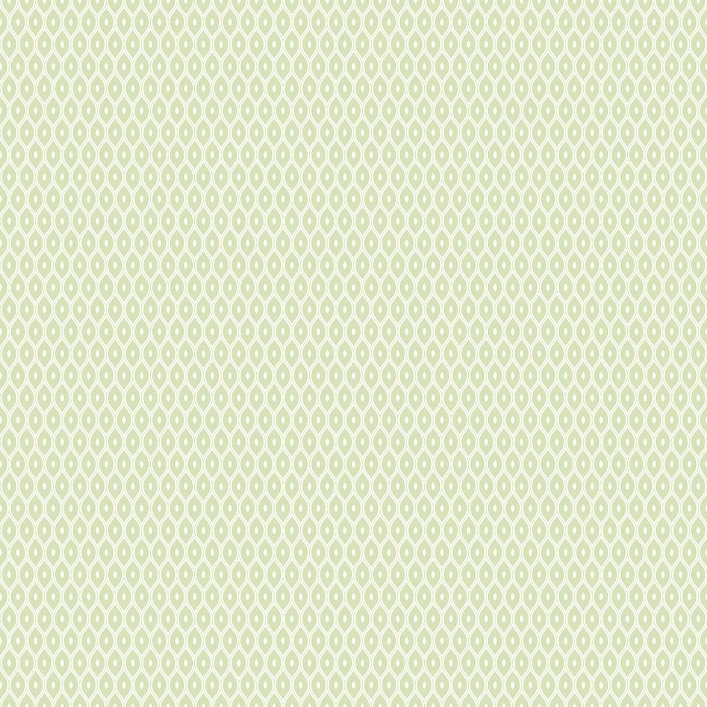 TINY OGEE - Apple