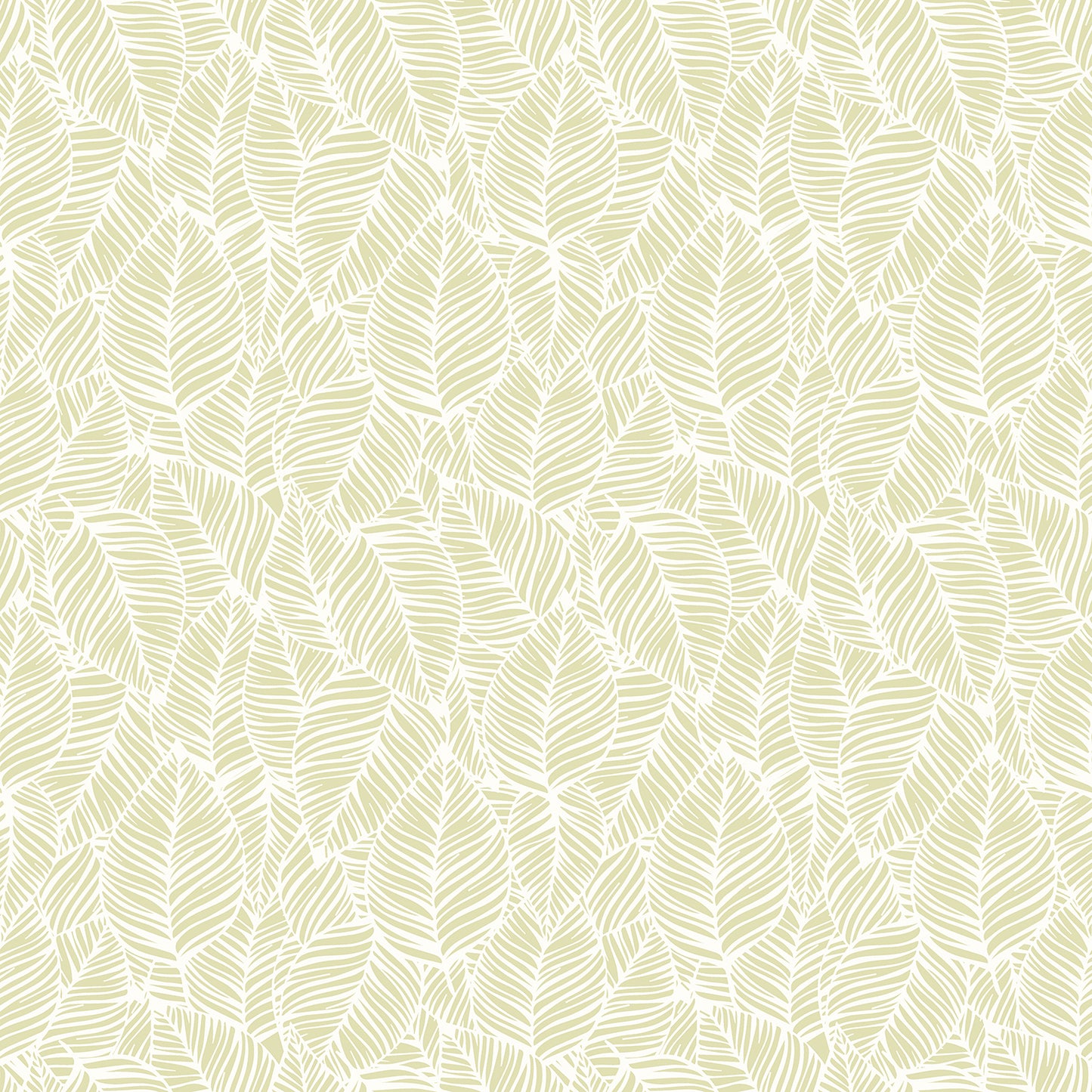 ZEBRA LEAF - Soft Lime
