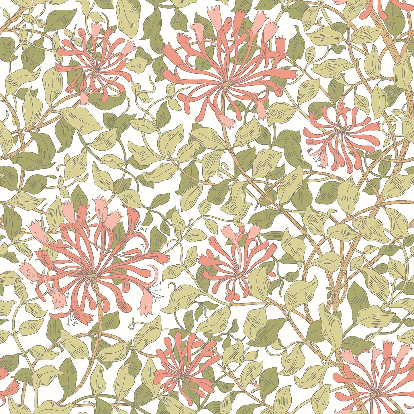 HONEYSUCKLE LEAF TRAIL - Coral Pink