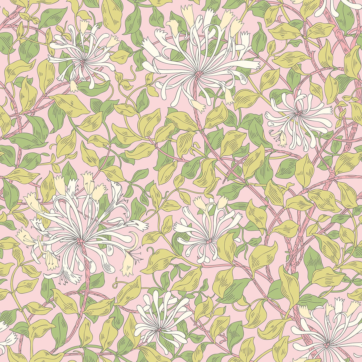 HONEYSUCKLE LEAF TRAIL - Soft Pink