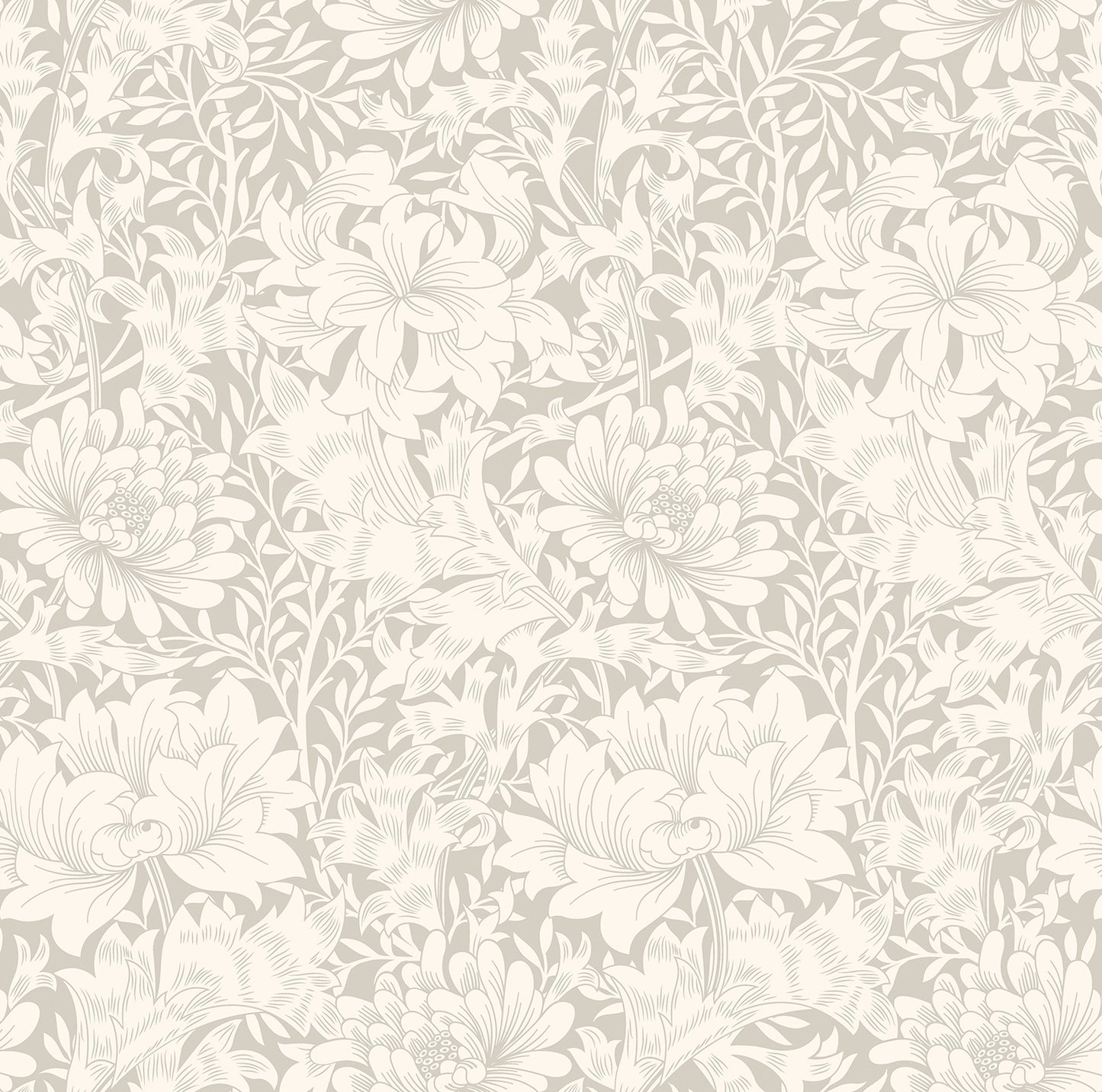 CHRYSANTHEMUM - Dove