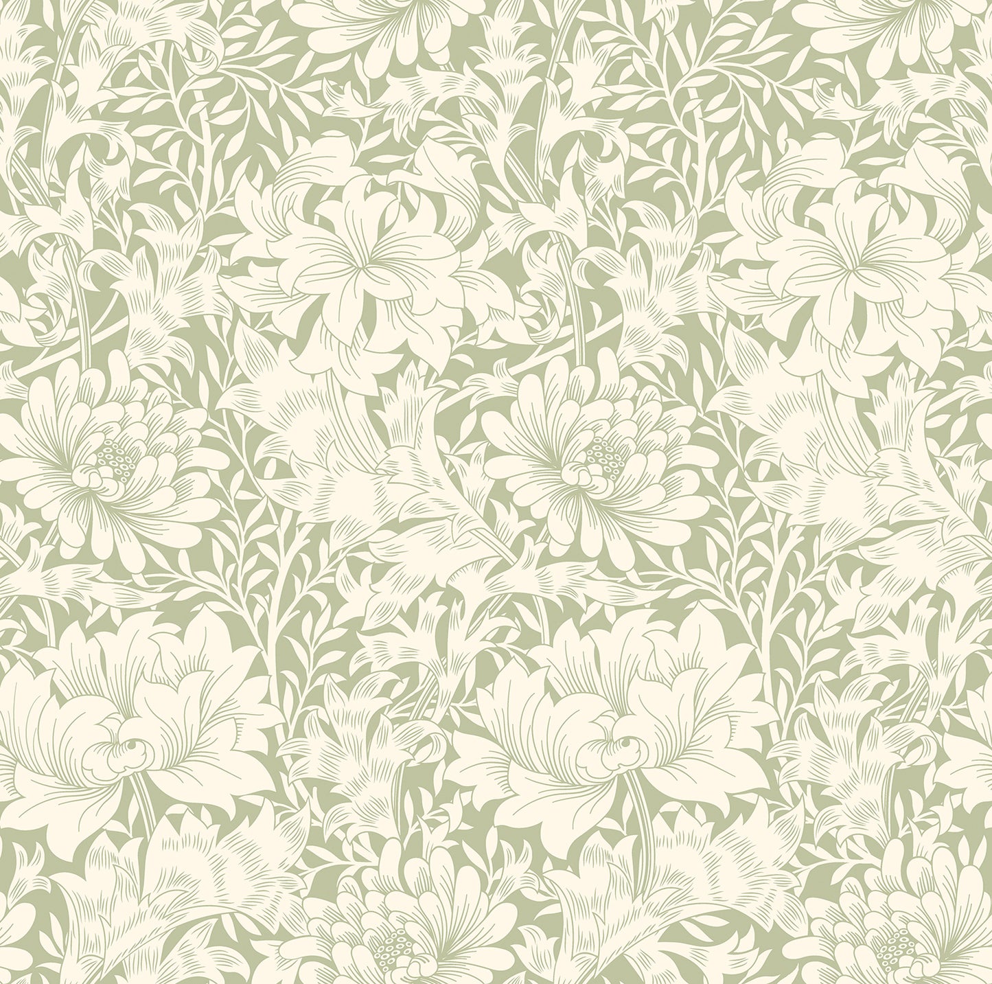 CHRYSANTHEMUM - Sage Green