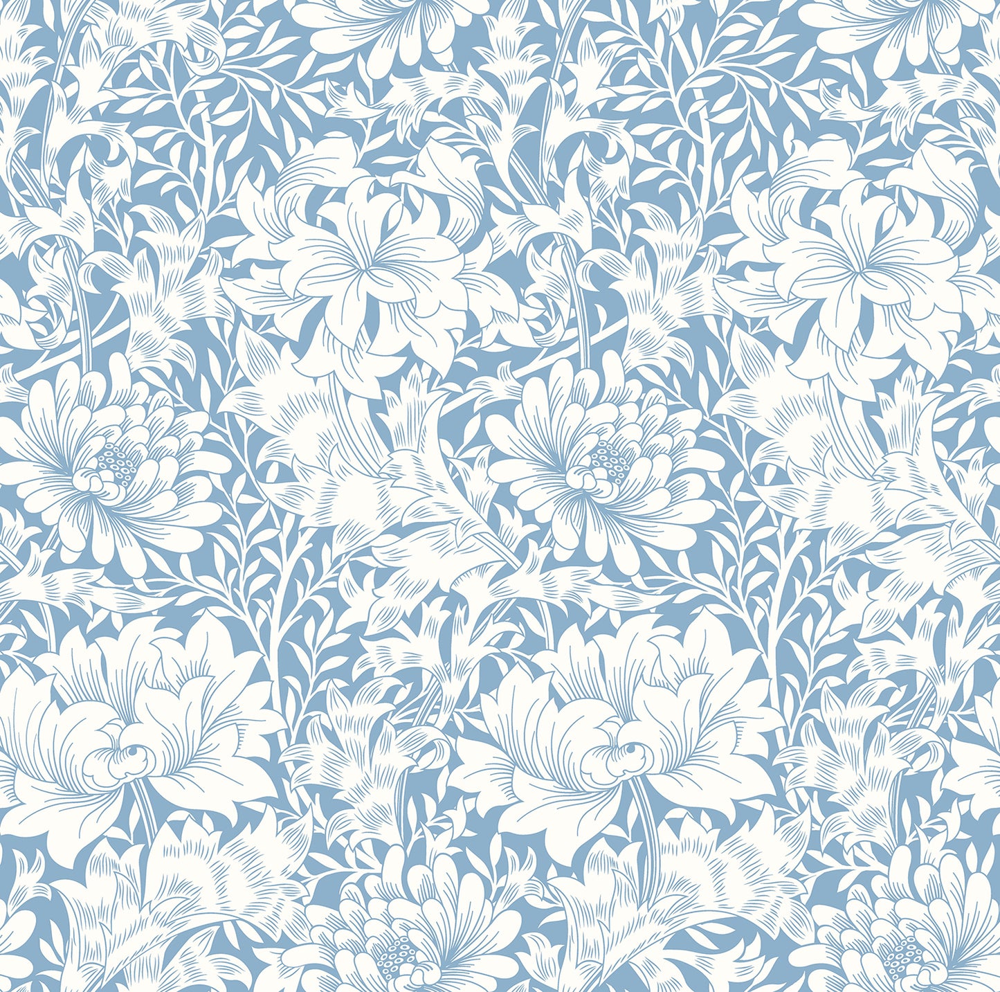 CHRYSANTHEMUM - Wedgewood Blue