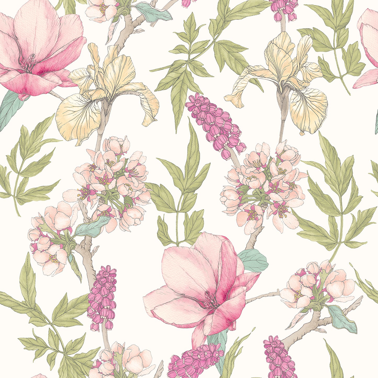 ORCHID BLOOM - Sweet Pea