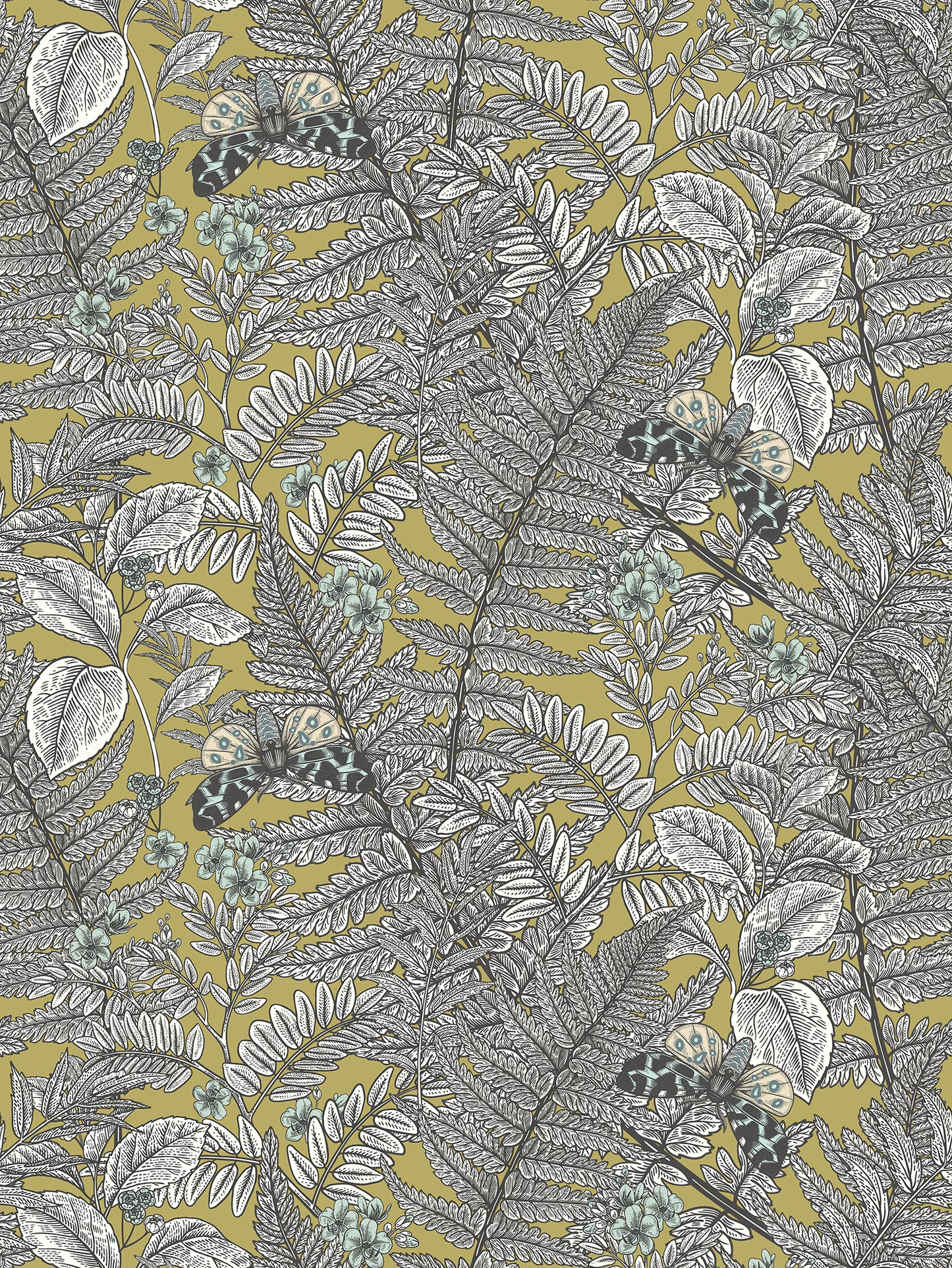 WILD FERNS - Olive