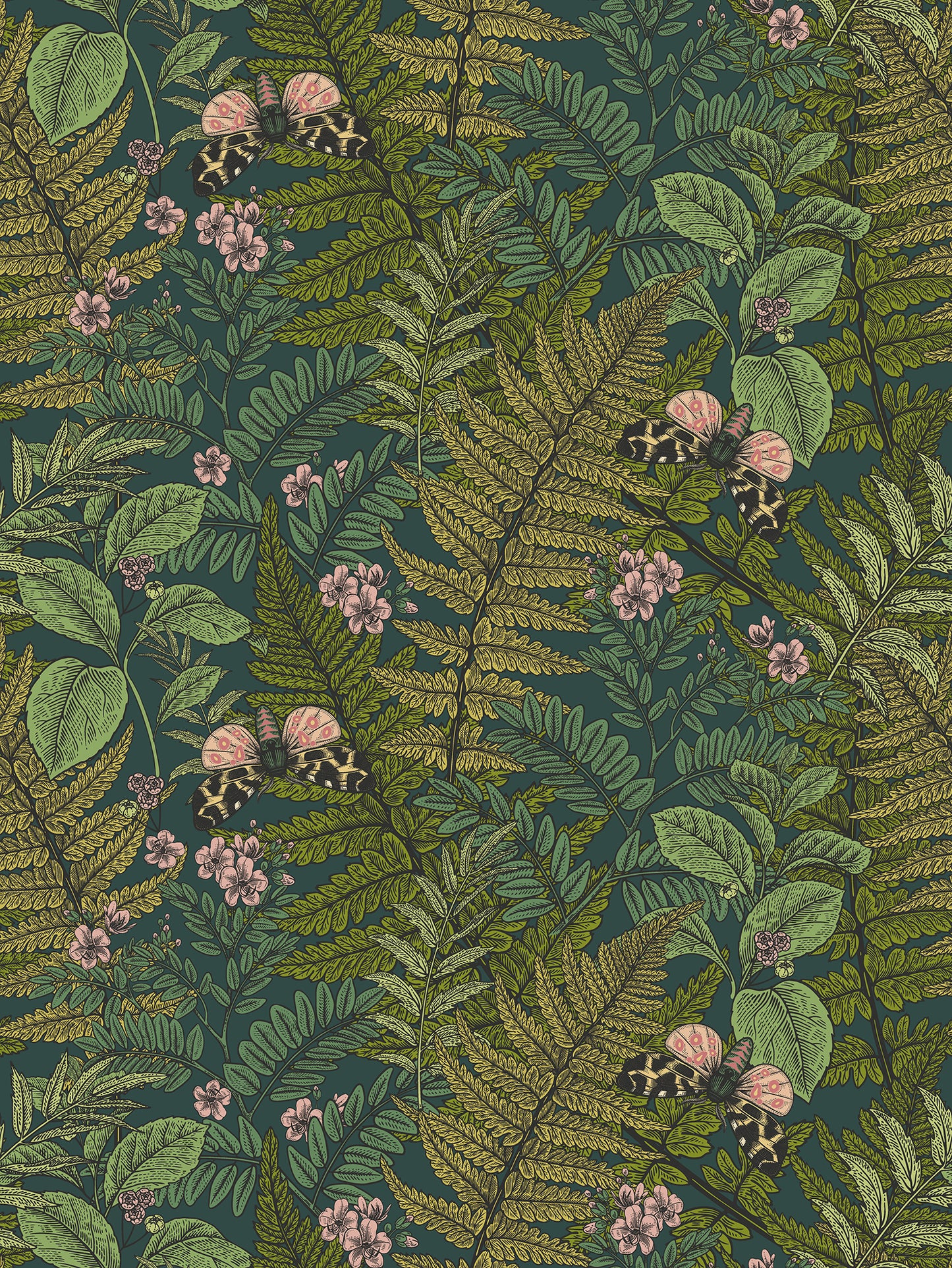 WILD FERNS - Forest Mix