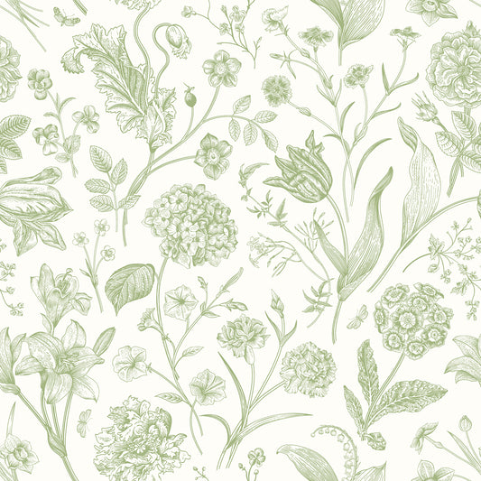 FLORAL TOILE - Sage