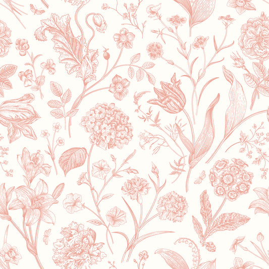 FLORAL TOILE - Soft Coral