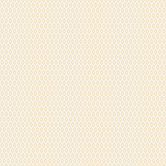 TINY OGEE - Parchment