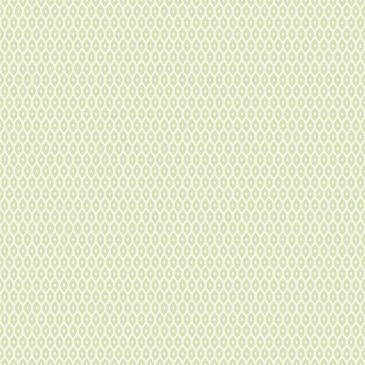 TINY OGEE - Apple