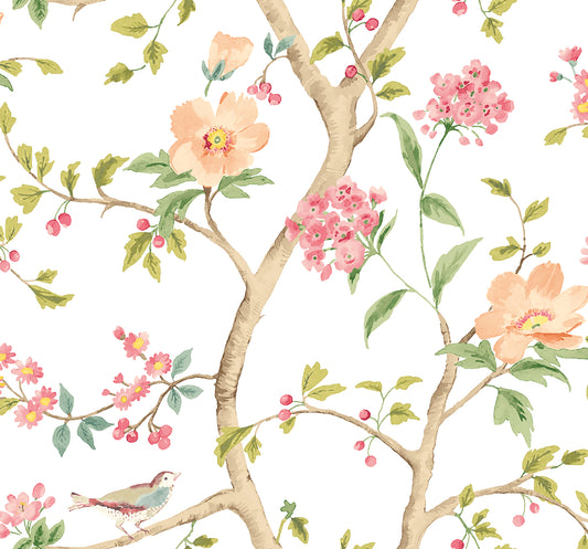 BIRD SONG - Coral Mix