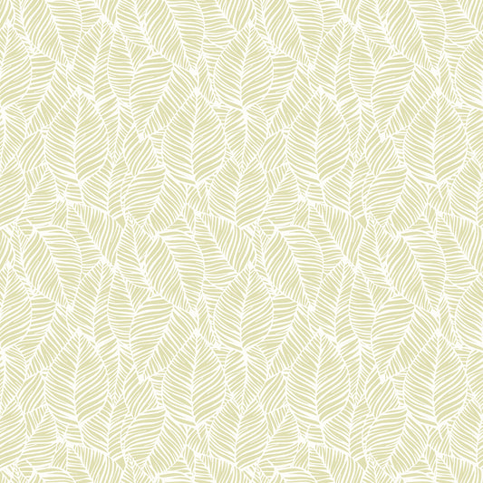 ZEBRA LEAF - Soft Lime