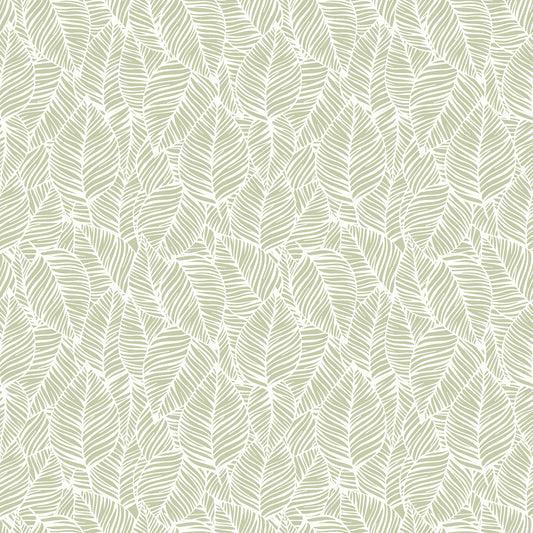 ZEBRA LEAF - Olive