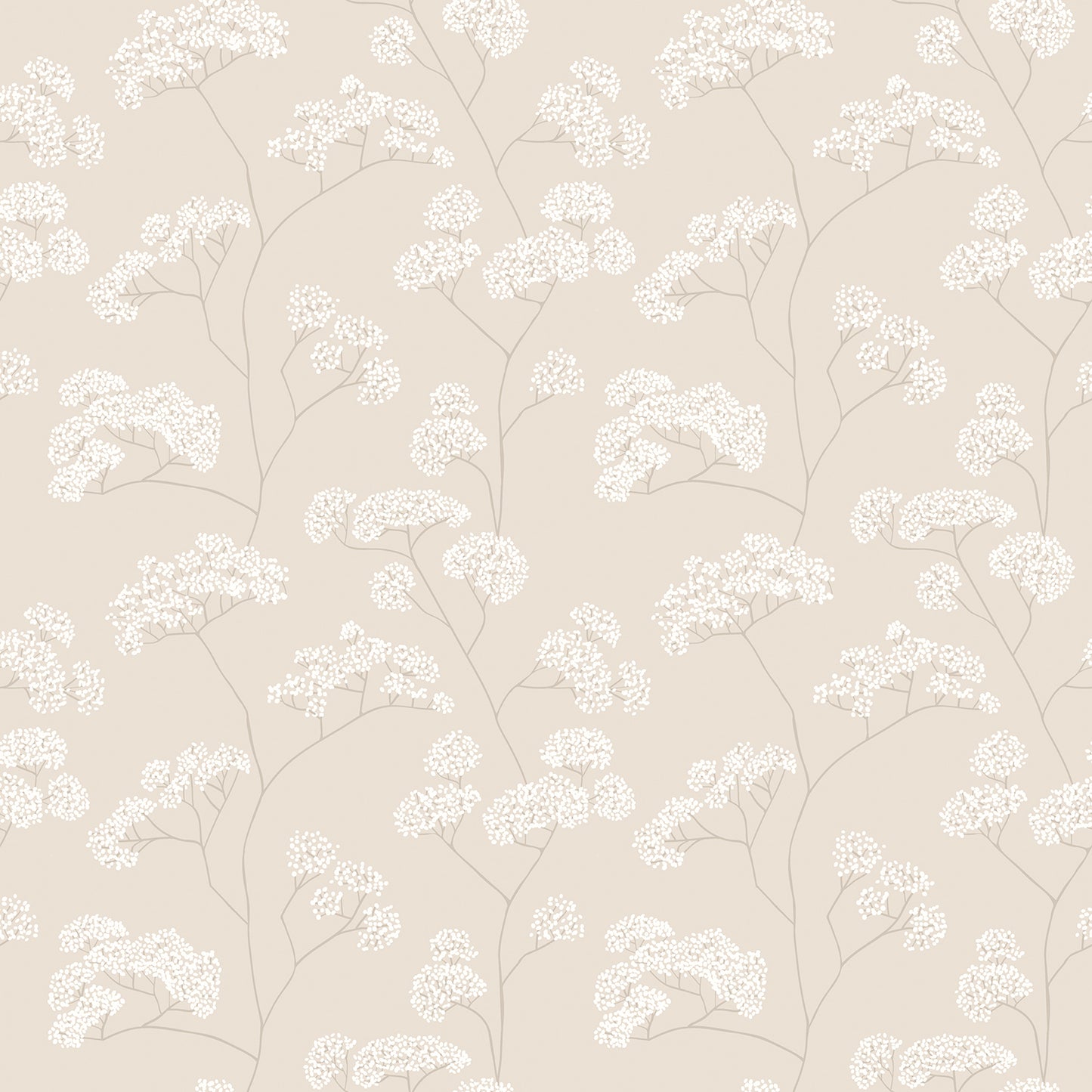 ELDERFLOWER TRAIL - Shadow