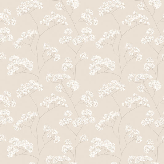 ELDERFLOWER TRAIL - Shadow