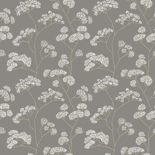 ELDERFLOWER TRAIL - Charcoal