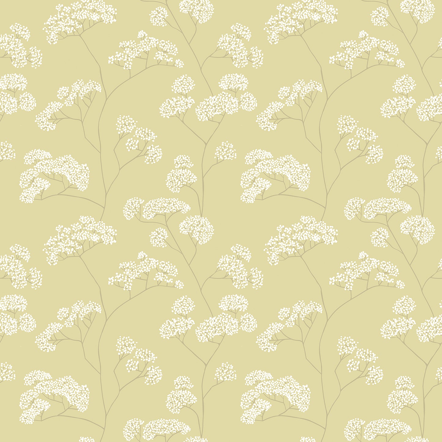ELDERFLOWER TRAIL - Pear