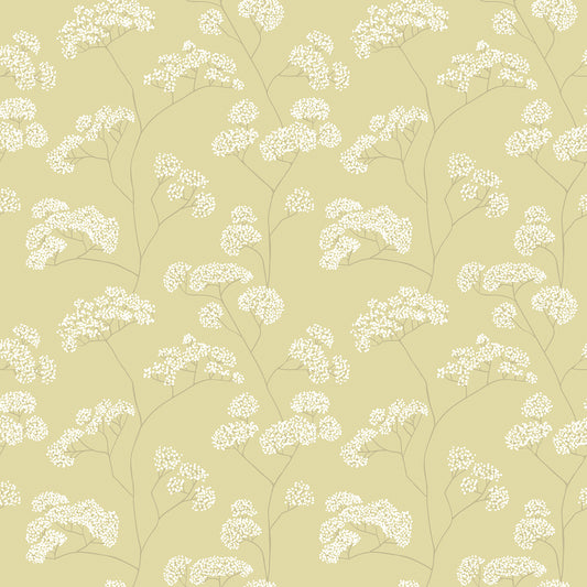 ELDERFLOWER TRAIL - Pear