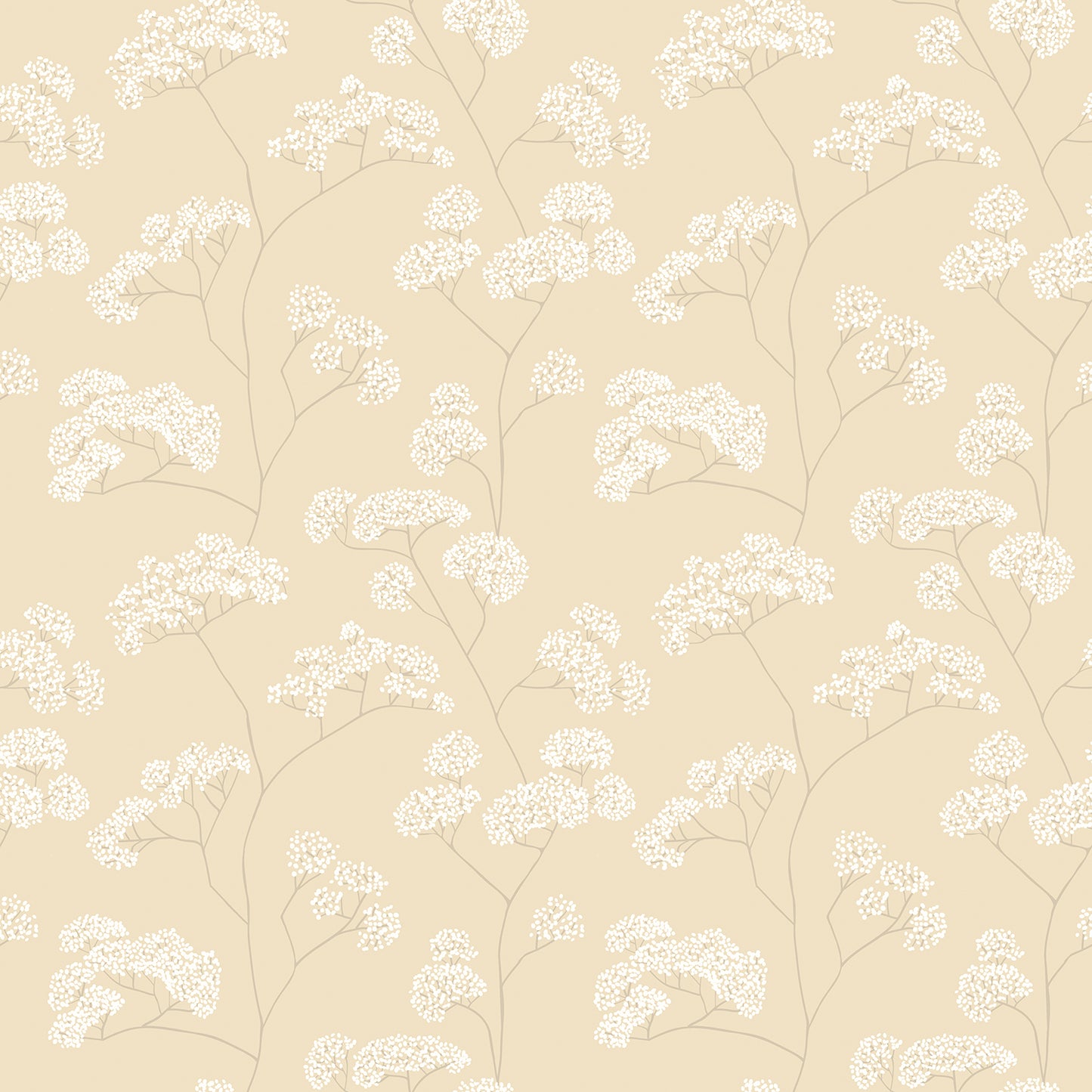ELDERFLOWER TRAIL - Barley