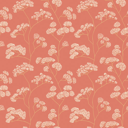 ELDERFLOWER TRAIL - Spice