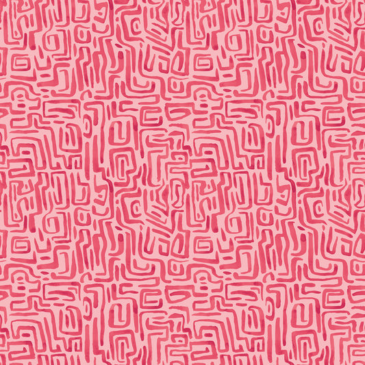 MAZE SQUIGGLE - Raspberry