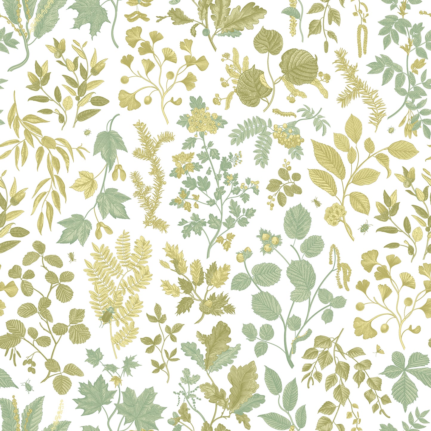 BOTANICAL LEAVES - Olive Mix