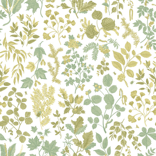 BOTANICAL LEAVES - Olive Mix