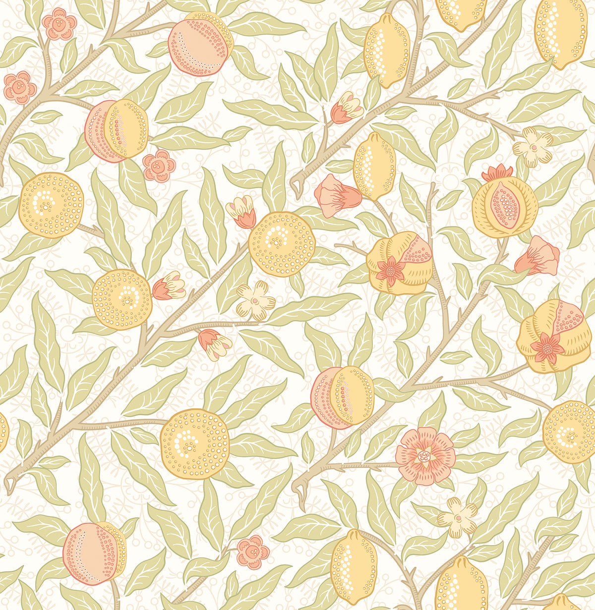 FRUIT & FOLIAGE - Citrus