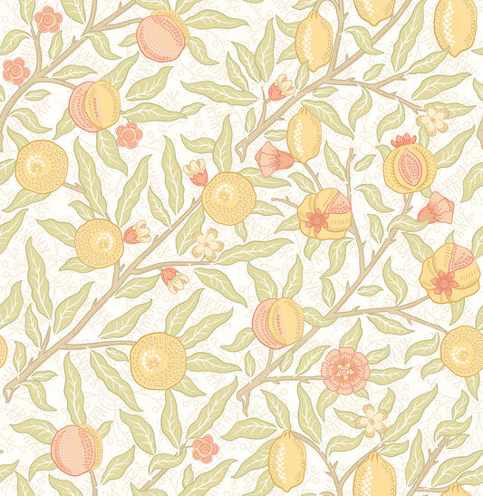 FRUIT & FOLIAGE - Citrus