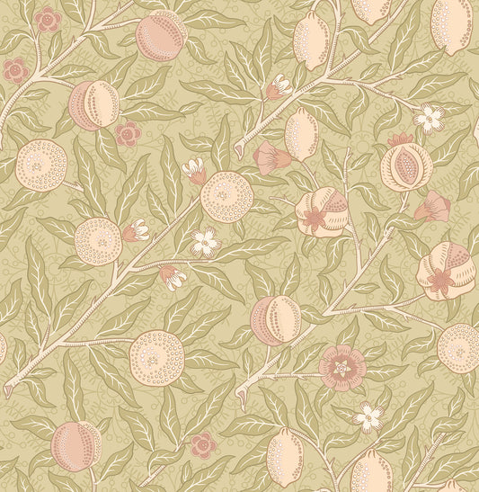 FRUIT & FOLIAGE - Olive & Clay