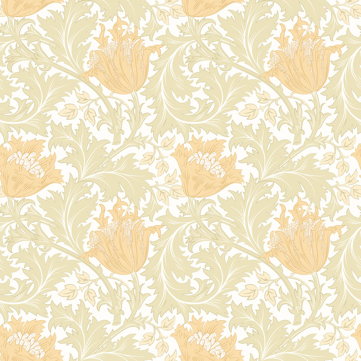 TULIP TRAIL - Soft Gold