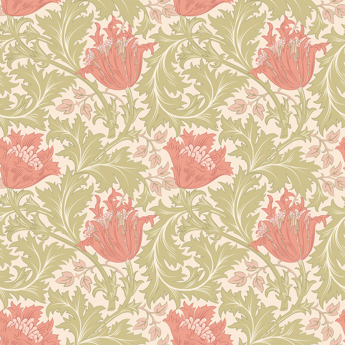 TULIP TRAIL - Coral
