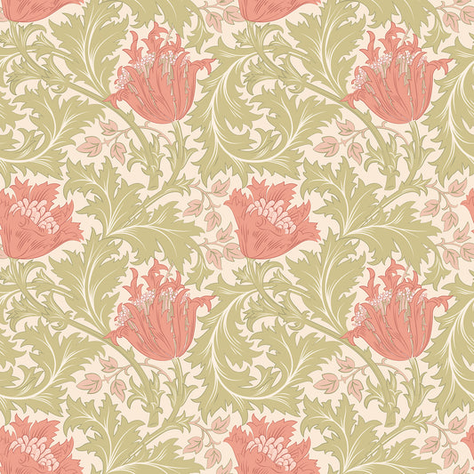 TULIP TRAIL - Coral