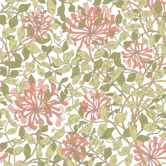 HONEYSUCKLE LEAF TRAIL - Coral Pink