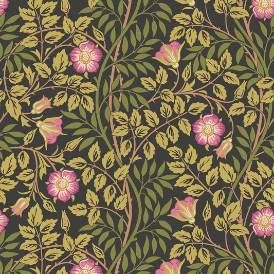 ROSEHIP TRAIL - Aubergine