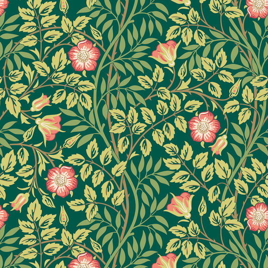 ROSEHIP TRAIL - Forest Green