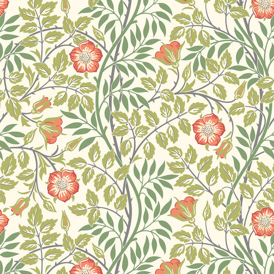 ROSEHIP TRAIL - Coral Pink