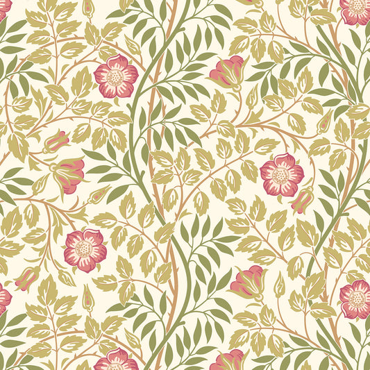 ROSEHIP TRAIL - Rose Pink