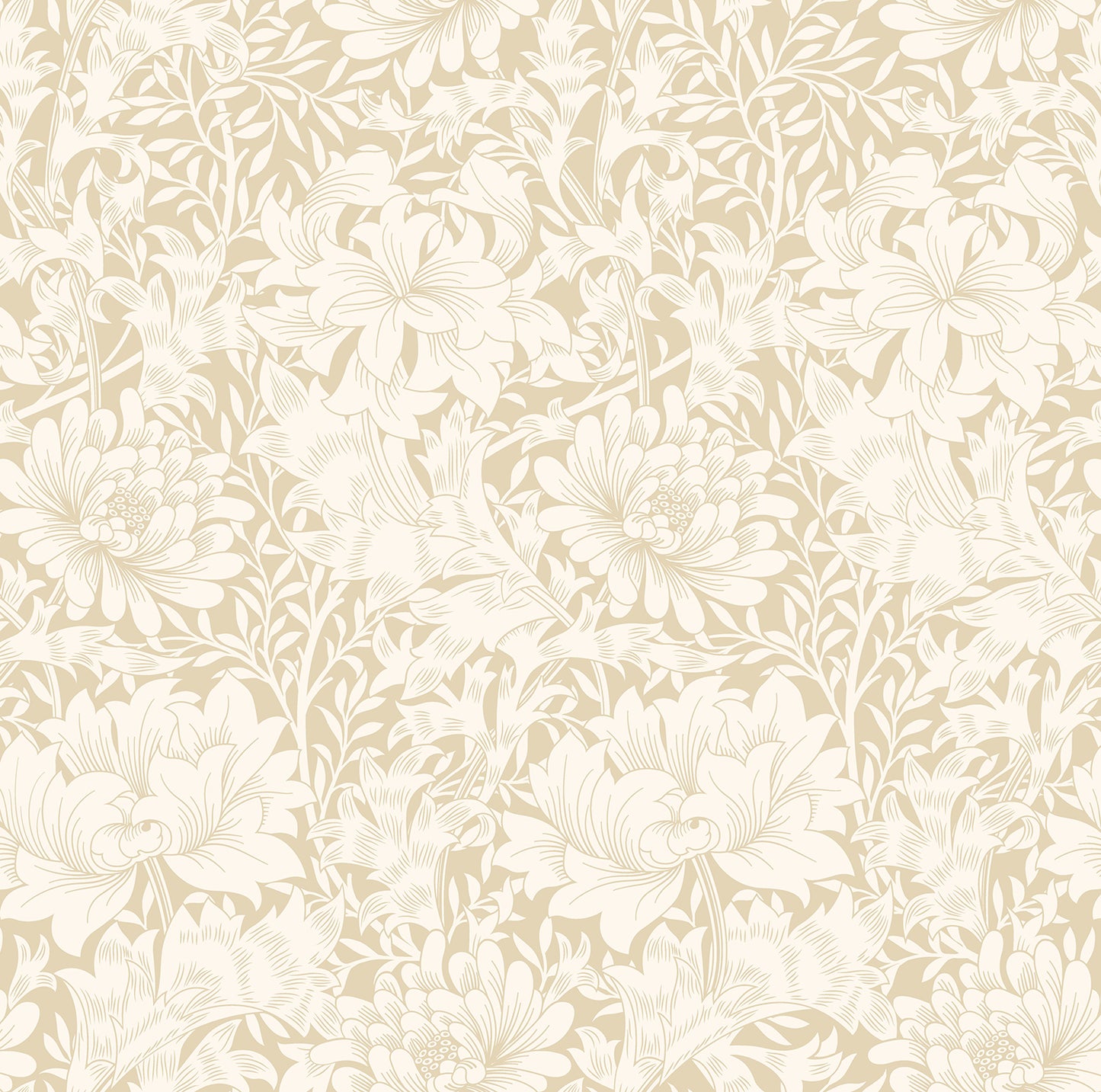 CHRYSANTHEMUM - Flax