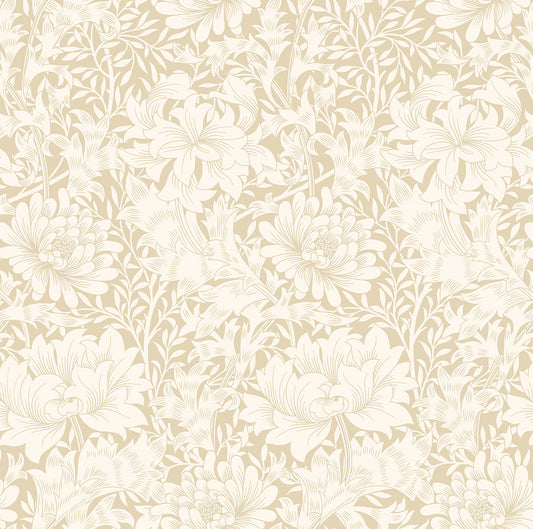 CHRYSANTHEMUM - Flax