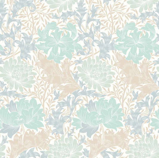 CHRYSANTHEMUM - Duckegg Blue