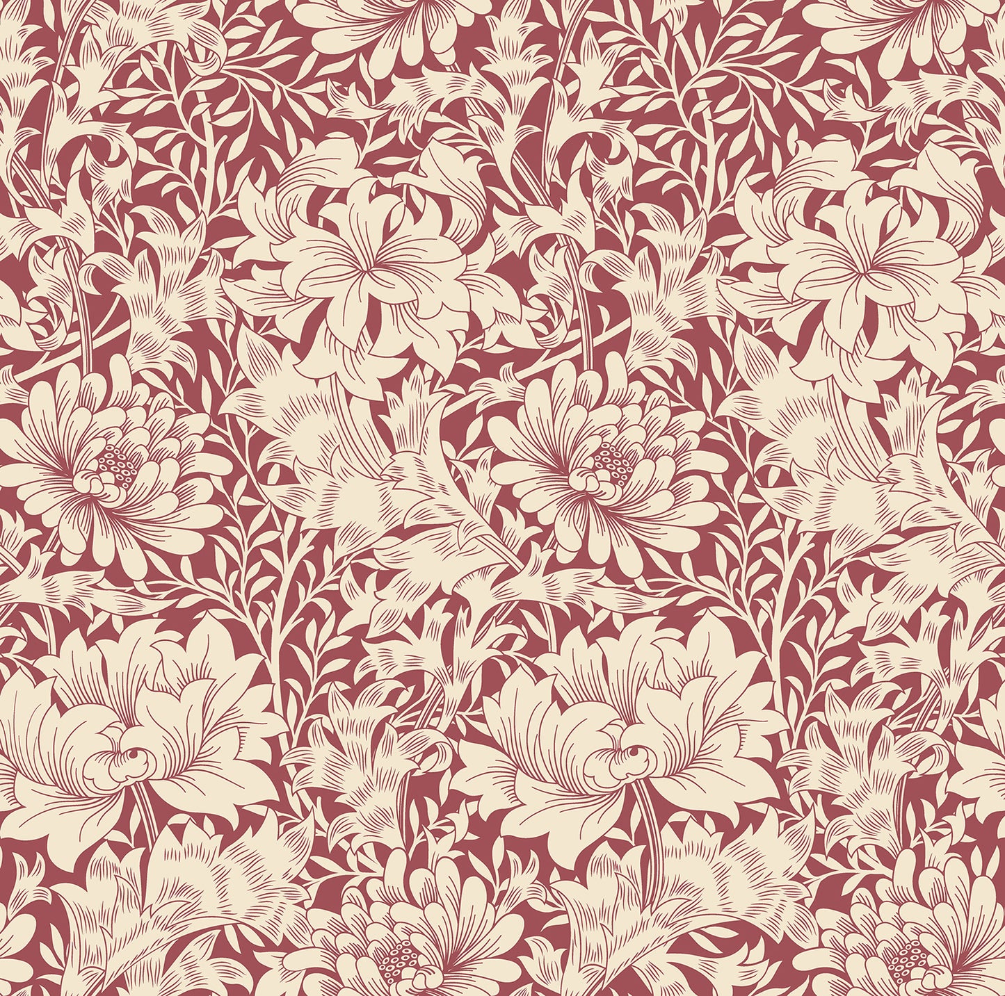 CHRYSANTHEMUM - Ruby Red