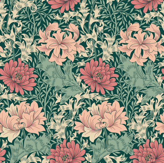 CHRYSANTHEMUM - Green & Pink