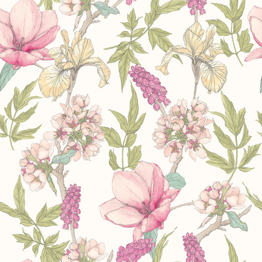 ORCHID BLOOM - Sweet Pea