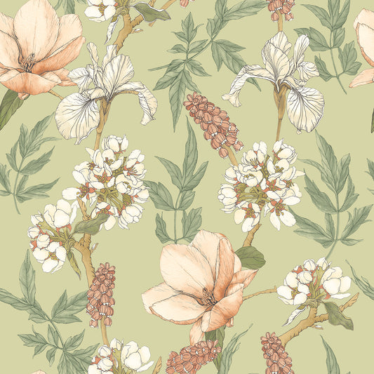 ORCHID BLOOM - Artichoke