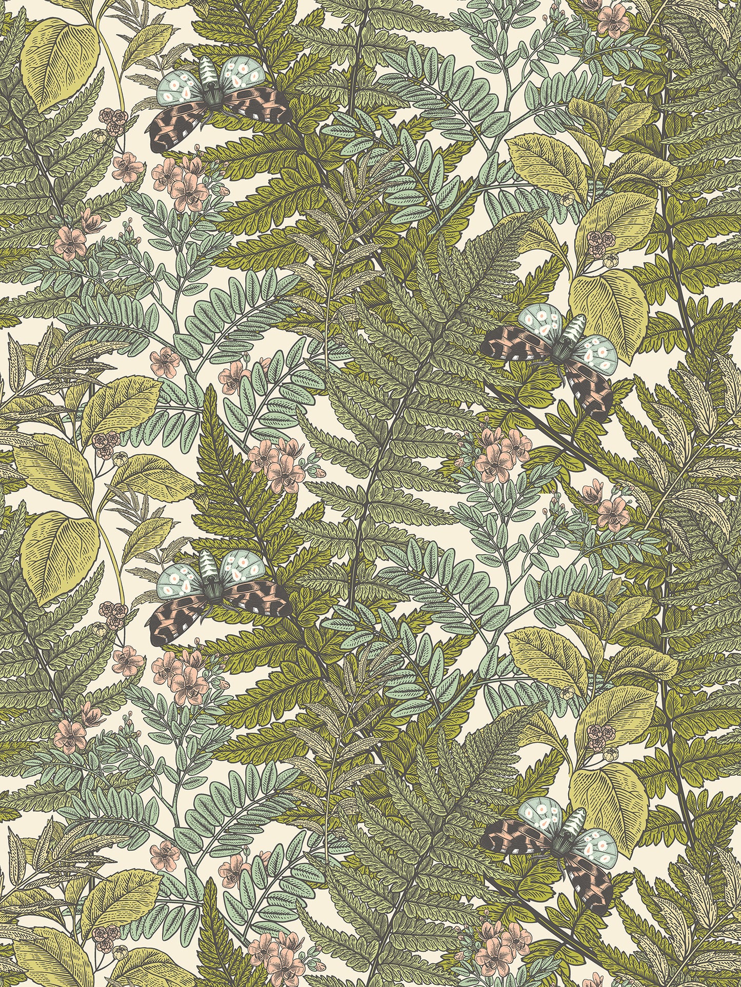 WILD FERNS - Juniper