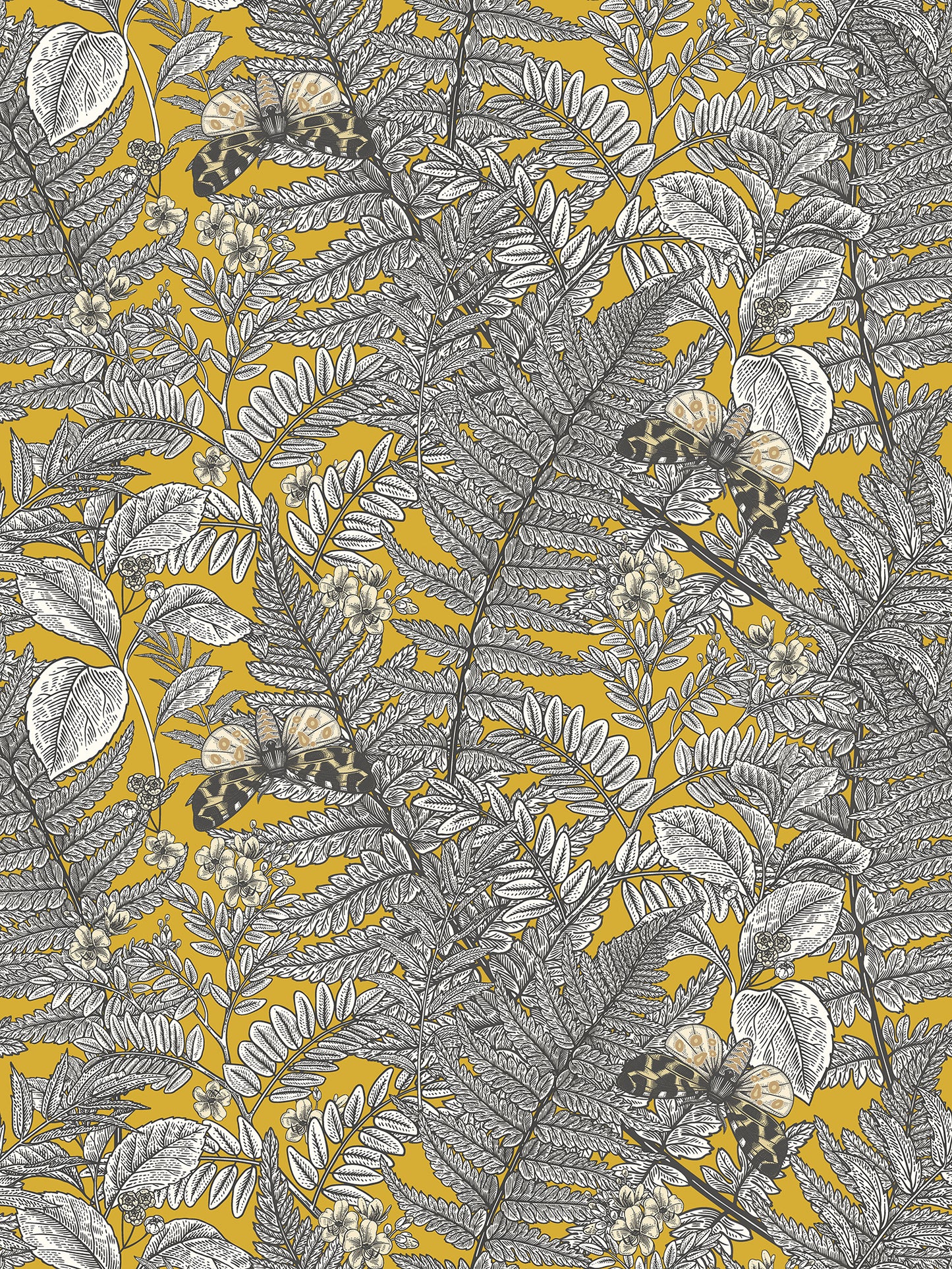 WILD FERNS - Mustard
