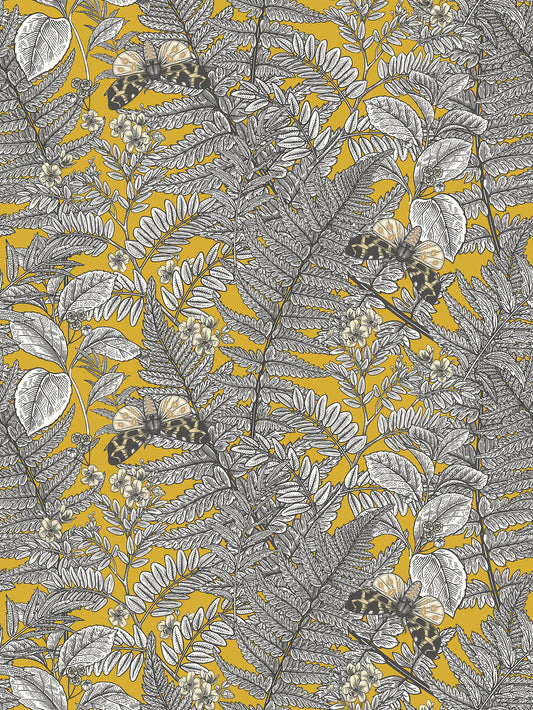 WILD FERNS - Mustard