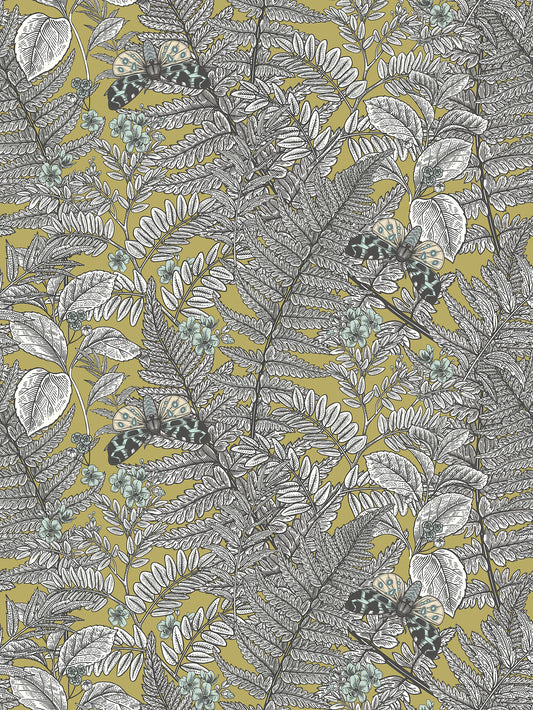 WILD FERNS - Olive